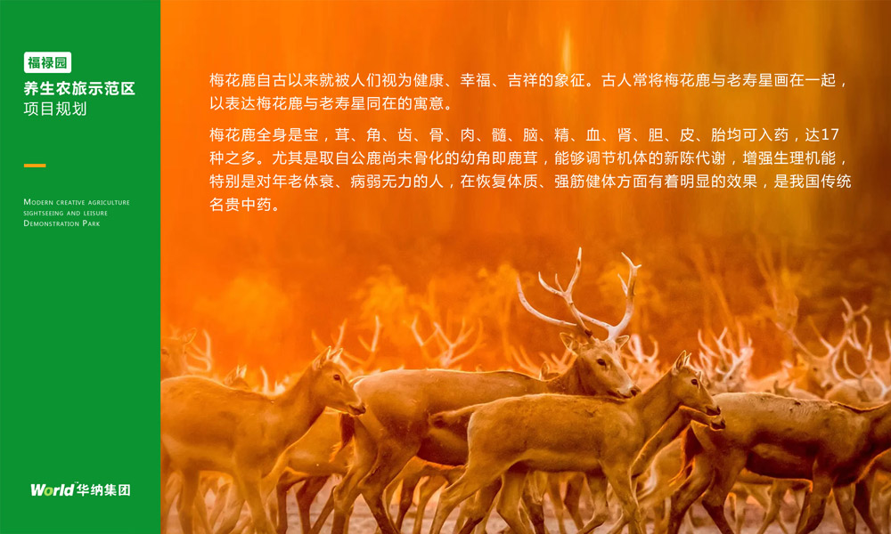 圖片2